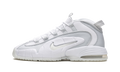 Air Max Penny "Pure Platinum" DV7220 100
