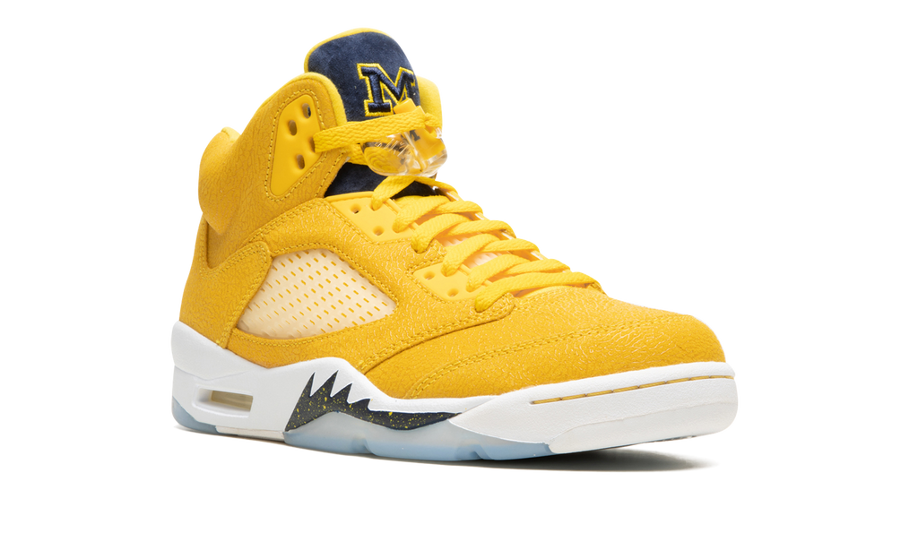 5 Retro PE "Michigan" DJ4954 997021