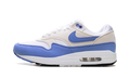 Air Max 1 WMNS "Royal Pulse" DZ2628 113