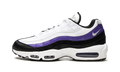 Air Max 95 "Persian Violet" DO5960 100
