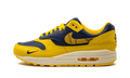 AIR MAX 1 PRM MNS WMNS "Co.jp Head to Head" FJ5479 410