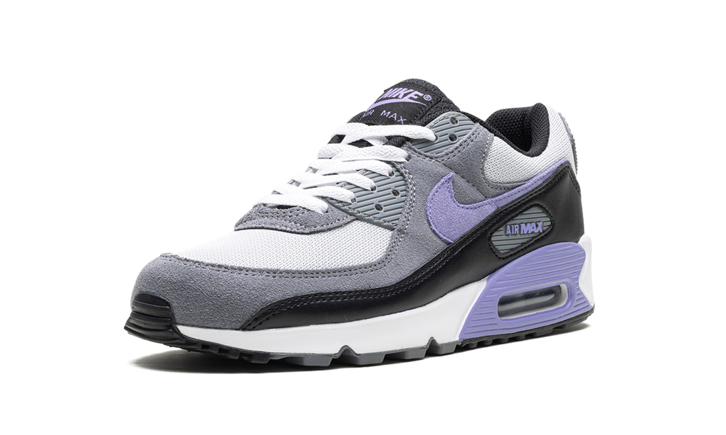 Air Max 90 "Light Thistle" DM0029 014