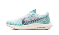 Pegasus Turbo Next Nature Wmns"Jade Ice" DM3414 300