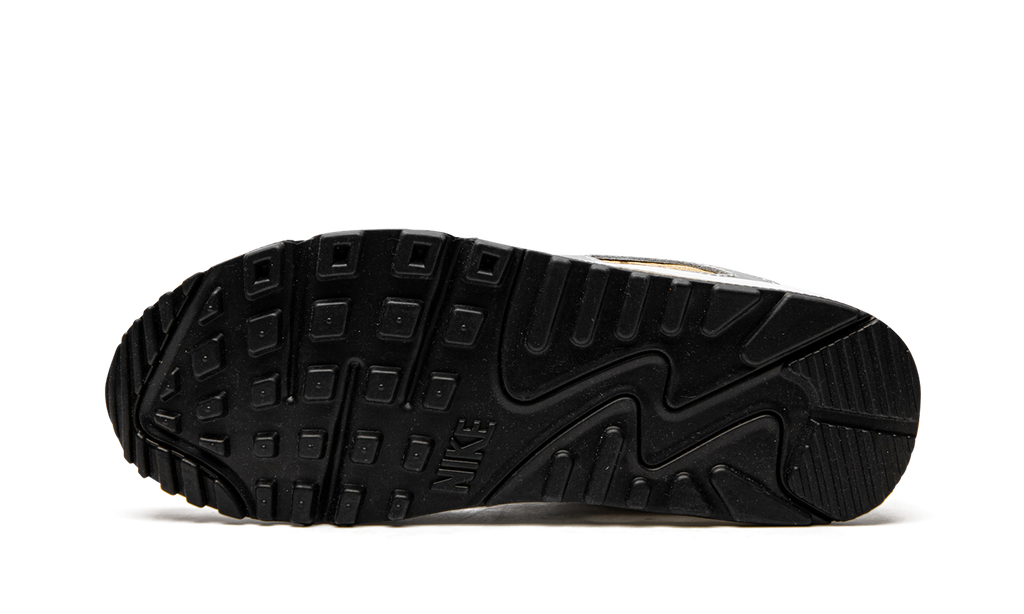 AIR MAX 90 SE MNS WMNS"Metallic" DJ6208 100