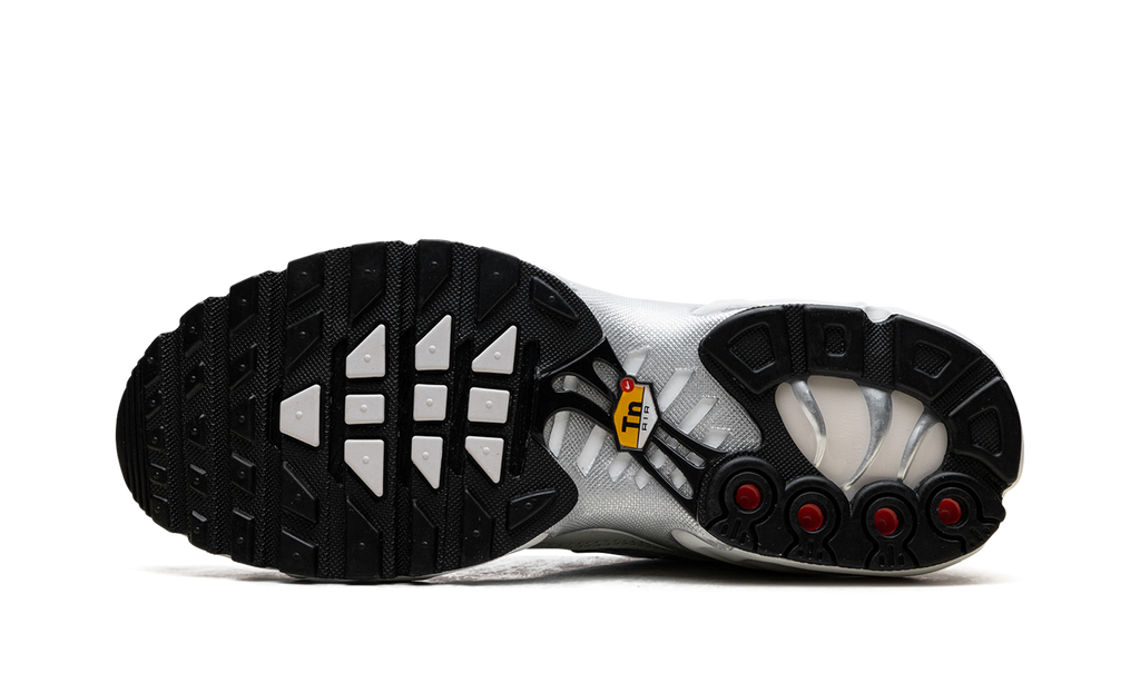 Air Max Plus WMNS"Light Silver" FV8480 002