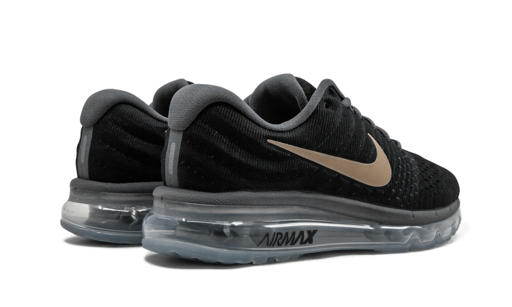 AIR MAX 2017 MNS WMNS "Bronze" 849560 008
