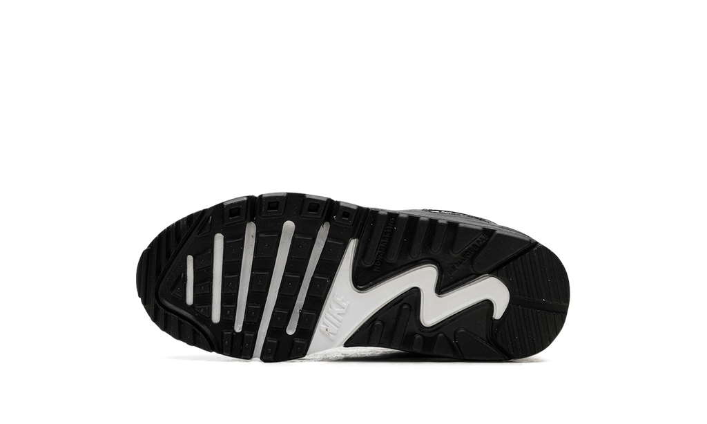 Air Max 90 "Black White" CD6867 010