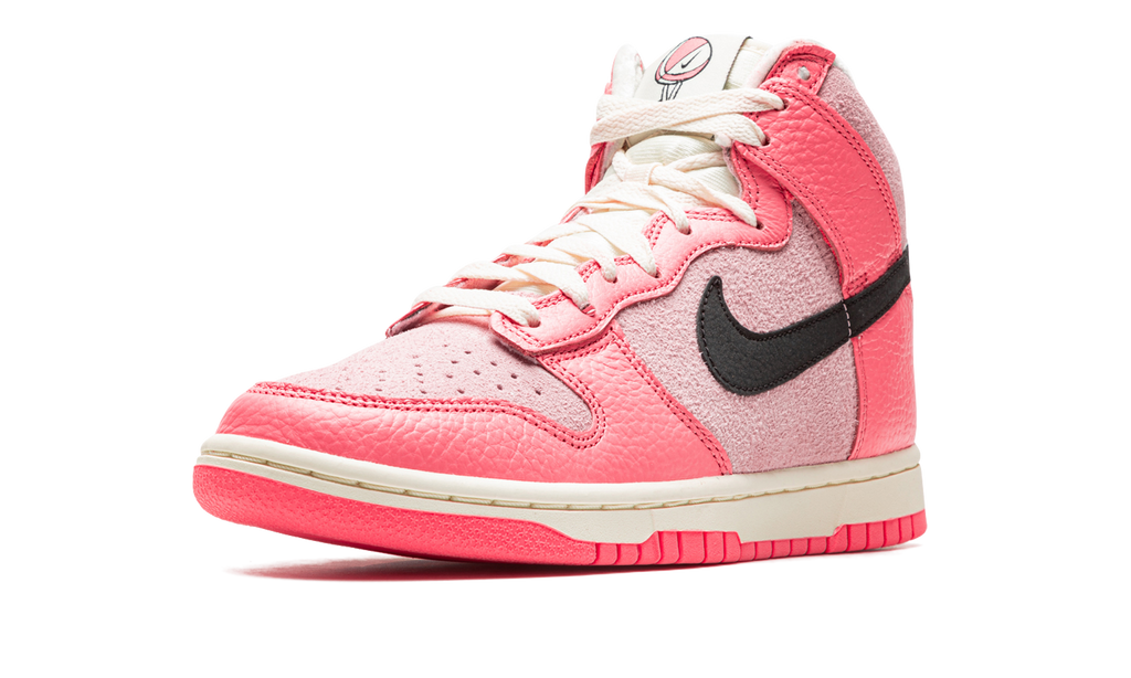 DUNK HIGH WMNS"Hoops Pack Pink" DX3359 600