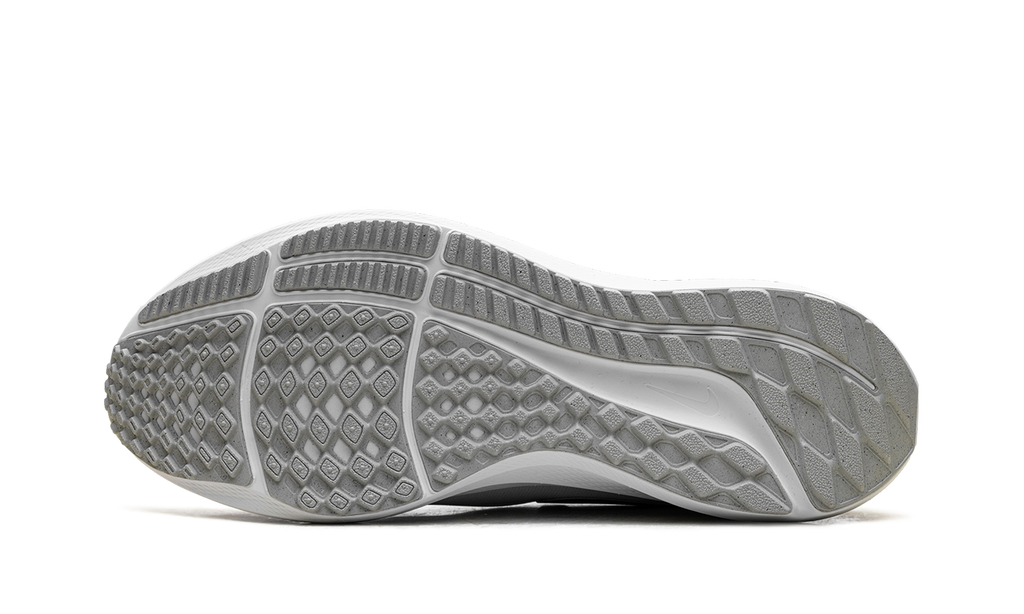 Air Zoom Pegasus 39 Wmns"White" DH4072-100