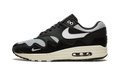 Air Max 1 "Patta - Black" DQ0299 001