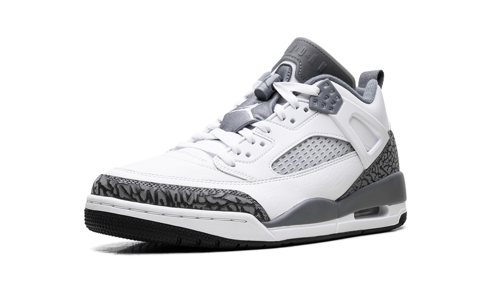 Spizike Low "Cool Grey Anthracite" FQ1759 102