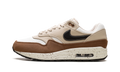 Air Max 1 Wmns "Velvet Brown" FZ3621 220