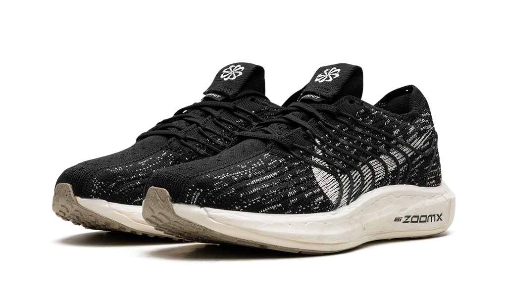 PEGASUS TURBO NEXT NATURE WMNS"Black Sail" DM3414 001