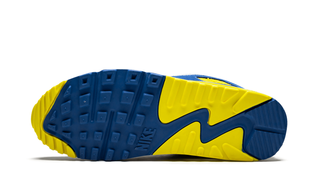 Air Max 90 QS "VIOTECH 2.0" CD0917 300