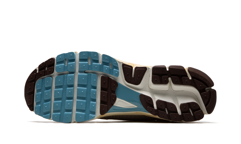 VOMERO 5 MNS WMNS"Oatmeal" FB8825 111