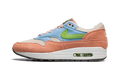 Air Max 1 "Light Madder Root" DV3196 800