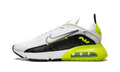 Air Max 2090 CZ7555 100