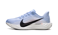 Pegasus Plus WMNS"Aluminum/Black-Royal Pulse" FQ7261 402
