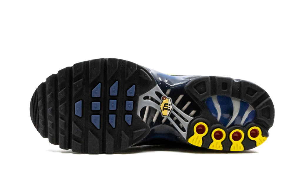 Air Max Plus (GS) CD0609 401