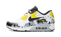 Air Max 90 Premium DB "Oregon"