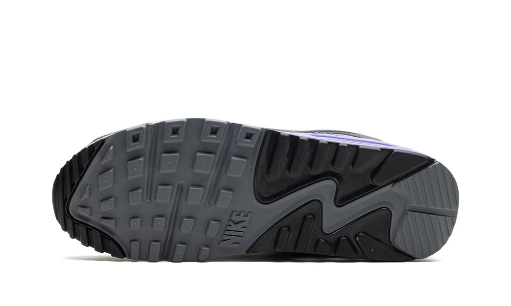 Air Max 90 "Light Thistle" DM0029 014