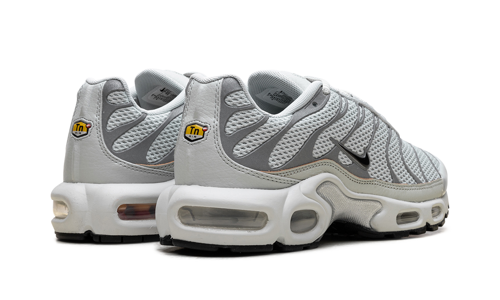 Air Max Plus WMNS"Light Silver" FV8480 002