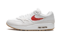 Air Max 1 "The Bay" FJ4451 100
