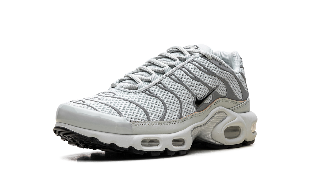 Air Max Plus WMNS"Light Silver" FV8480 002